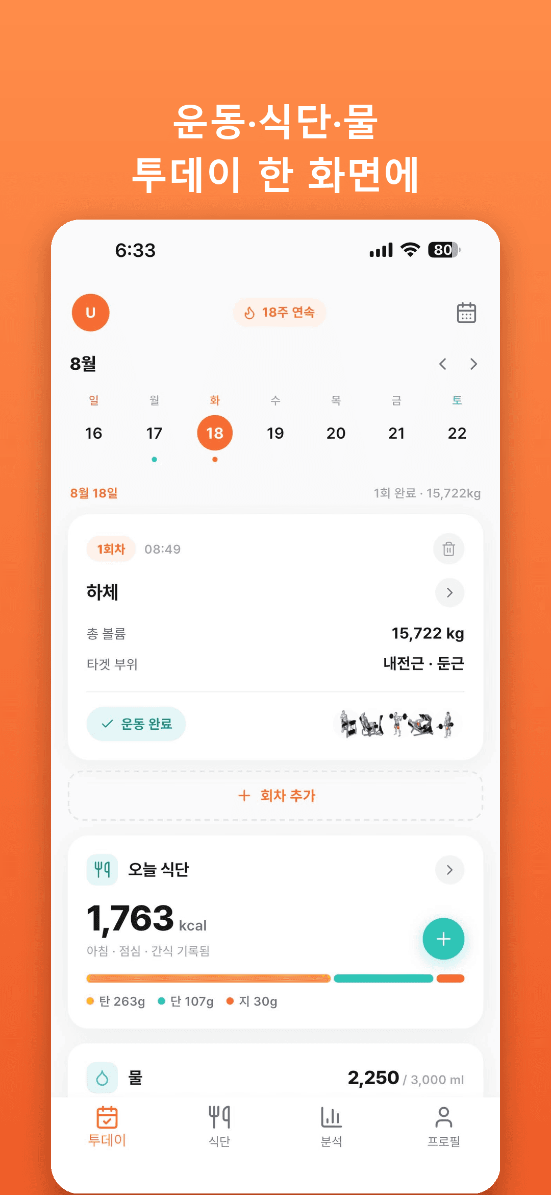 운동·식단·물, 투데이 한 화면에